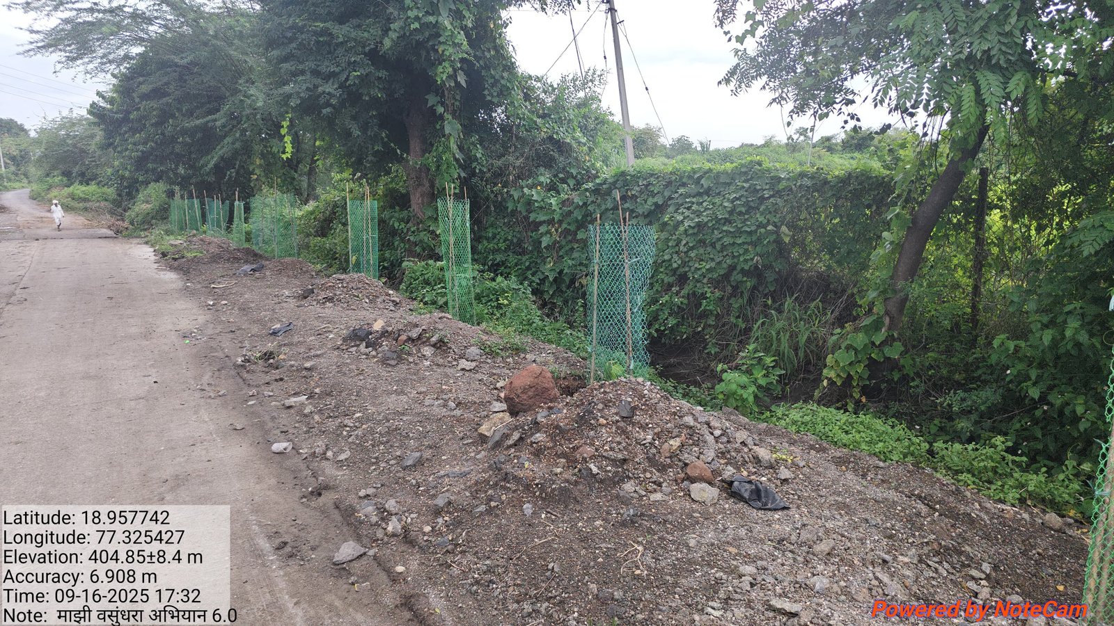 वृक्ष लागवड व संगोपन